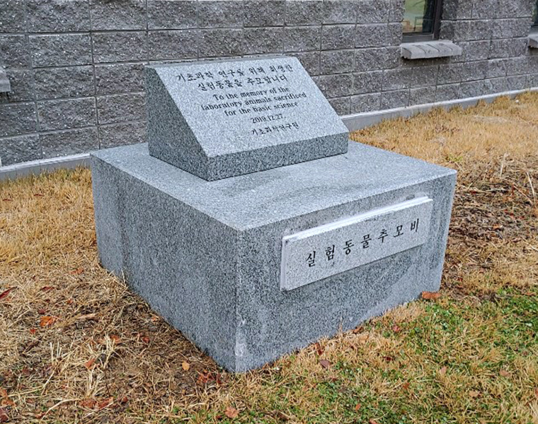 기념비 식수비 공덕비 O